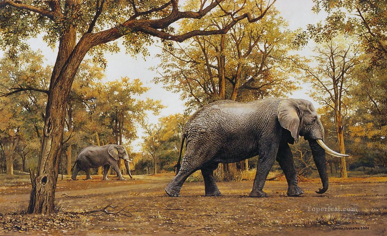 elephant meander Oil Paintings